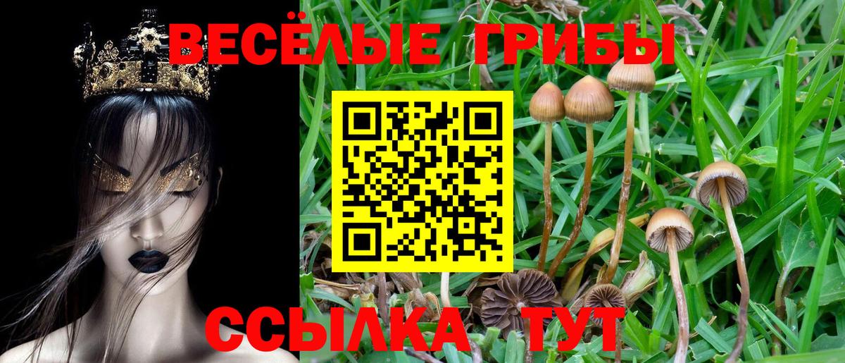 Якутск  Псилоцибиновые грибы мицелий  Вход с VPN  Галлюциногенные грибы Cubensis 